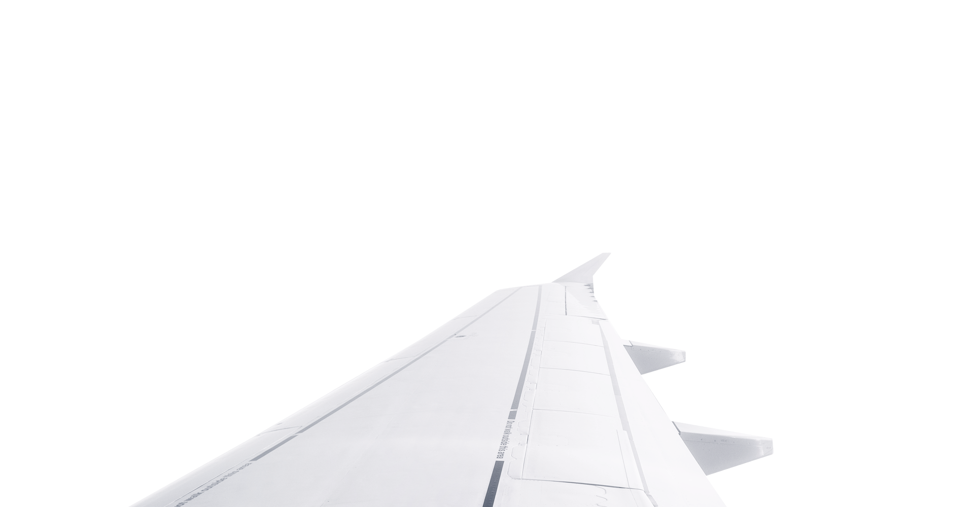 Wing